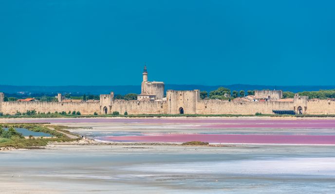 La Camargue (marche nordique)