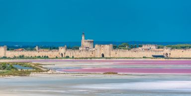 La Camargue (marche nordique)