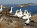 La côte de Granit Rose et l'archipel des Sept-îles