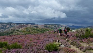 Le Caroux, terre ensoleillée des Cévennes