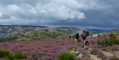 Le Caroux, terre ensoleillée des Cévennes