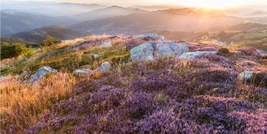 Les Monts d'Ardèche