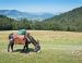 Tour du Massif Mézenc-Gerbier avec mon âne