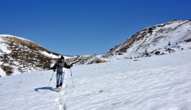 Le plateau de l'Aubrac en raquettes 