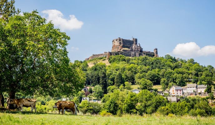 Au cœur des volcans d'Auvergne  (marche nordique)