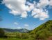 Au cœur des volcans d'Auvergne  (marche nordique)