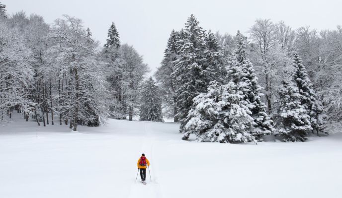 Nouvel An - Raquettes dans le Jura Suisse