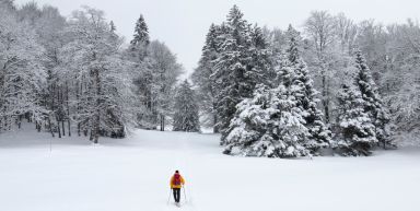 Nouvel An - Raquettes dans le Jura Suisse