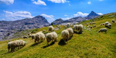 Terroirs du Pays Basque 